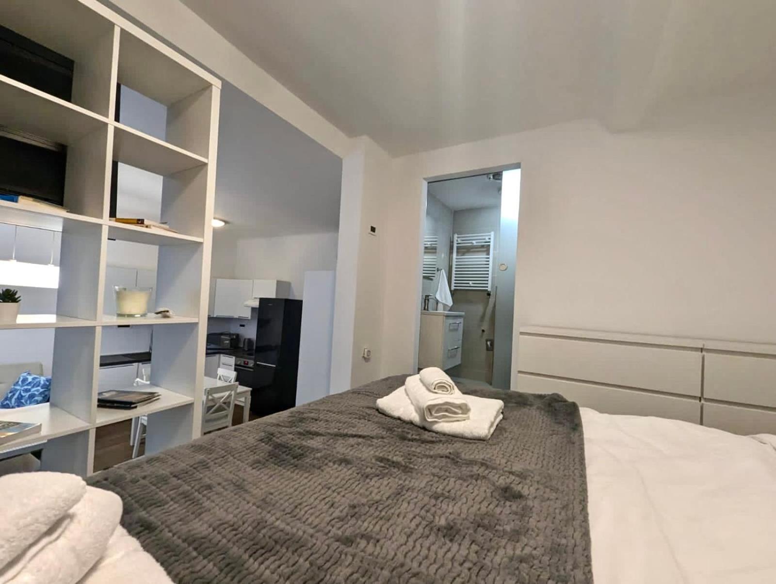 Fantabulous Downtown Abode W King Bed, 65" Tv, Washer And Tumble Dryer ザグレブ エクステリア 写真