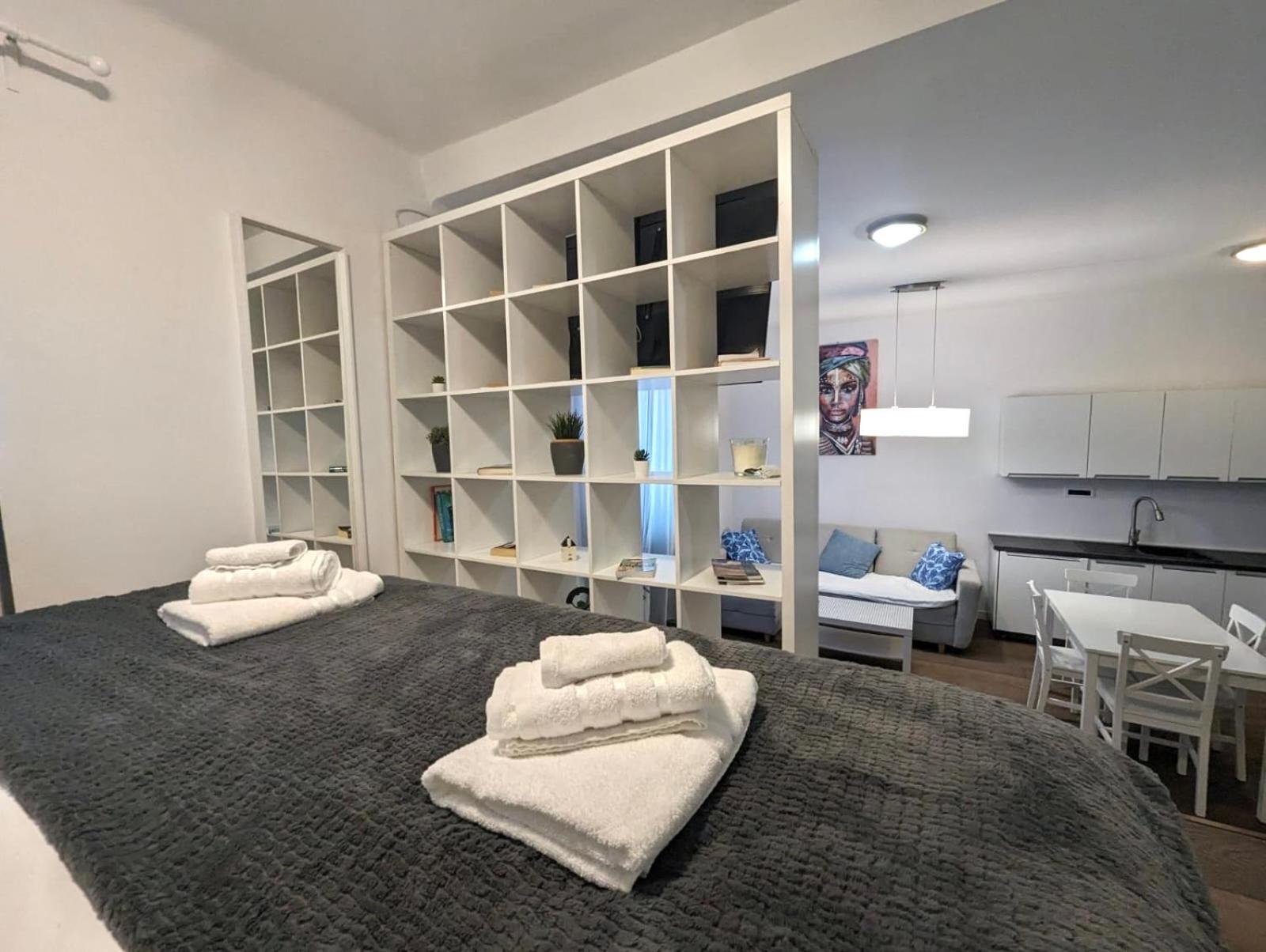 Fantabulous Downtown Abode W King Bed, 65" Tv, Washer And Tumble Dryer ザグレブ エクステリア 写真